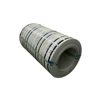 Stainless Steel Coil & Strip