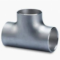 Stainless Steel Fittings Equal Tee Reducing Tee Butt Welding Fitting Straight Tee